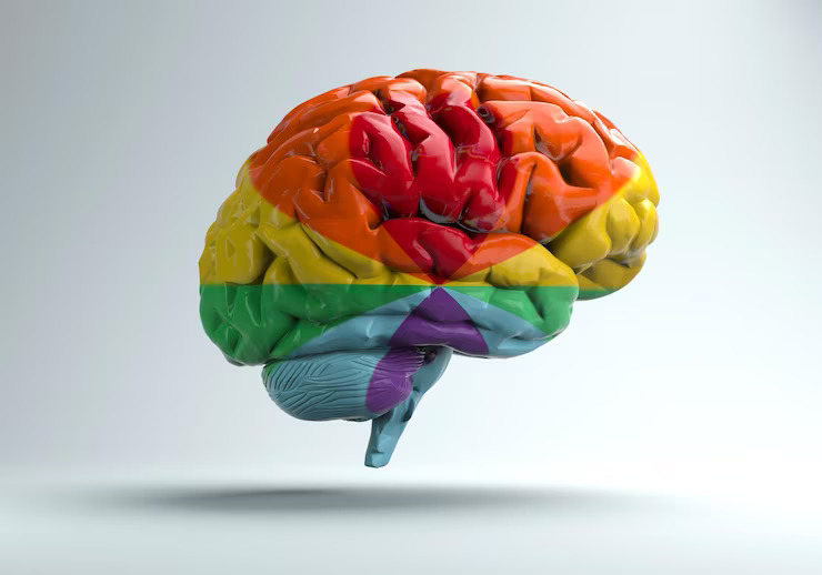 Gey beyni Kaos GL - LGBTİ+ Haber Portalı
