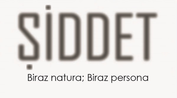 26 Kasım&rsquo;da Ankara&rsquo;da: &lsquo;Şiddet: Biraz Natura, Biraz Persona&rsquo; Kaos GL - LGBTİ+ Haber Portalı