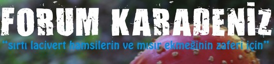 Yaşamı Savunanlar Karadeniz Forum&rsquo;da Buluşuyor Kaos GL - LGBTİ+ Haber Portalı