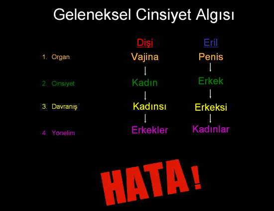 Kadından Erkeğe Transların Bilgi Bankası: Sick-o Kaos GL - LGBTİ+ Haber Portalı