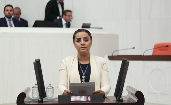 CHP&rsquo;li Selina Doğan&rsquo;dan Alperen Ocakları hakkında suç duyurusu Kaos GL - LGBTİ+ Haber Portalı