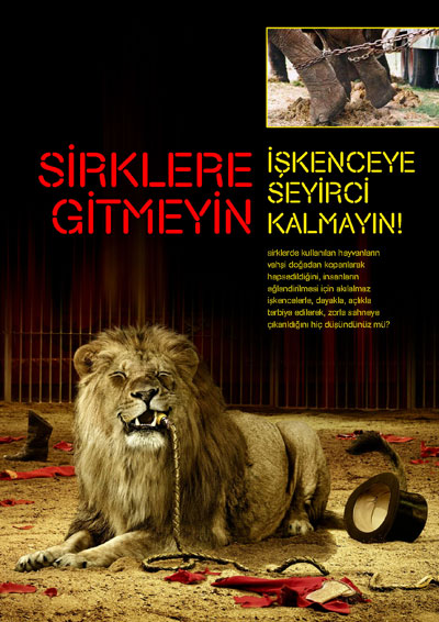Yeryüzüne Özgürlük Derneği, Sirkleri Boykota Çağırıyor! Kaos GL - LGBTİ+ Haber Portalı