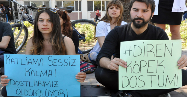 &lsquo;Bu ülkede insanlar ölüyor, köpekler öldürülmüş çok mu?&rsquo; | Kaos GL - LGBTİ+ Haber Portalı Haber
