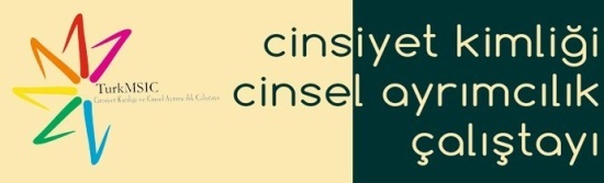 Tıp Öğrencileri Cinsiyet Kimliği ve Cinsel Ayrımcılık Çalıştayı&rsquo;nda Buluşuyor Kaos GL - LGBTİ+ Haber Portalı