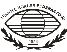 Engelli Kadınların Gündemi İlk Kez CEDAW&rsquo;da Kaos GL - LGBTİ+ Haber Portalı