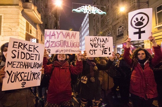 8 Mart&rsquo;ta vegan feministler de alanlardaydı | Kaos GL - LGBTİ+ Haber Portalı Haber