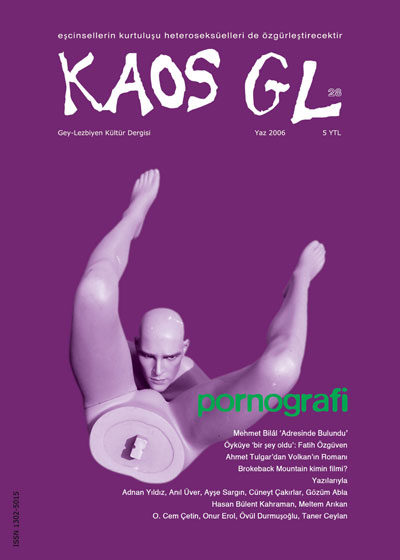AİHM'deki Kaos GL Dergi Davasına Uluslararası Müdahele Talebi Kaos GL - LGBTİ+ Haber Portalı
