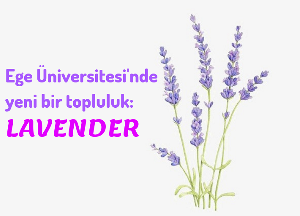 Kampüste varız: Lavender | Kaos GL - LGBTİ+ Haber Portalı