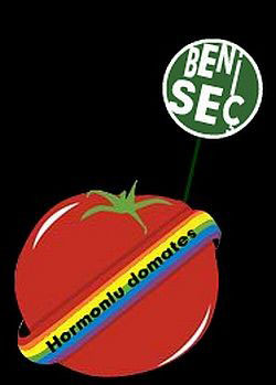Hormonlu Domates Ödülleri &lsquo;Aday Adayı&rsquo; Başvuruları Başladı Kaos GL - LGBTİ+ Haber Portalı