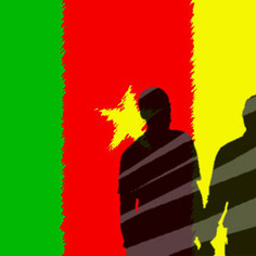 &lsquo;Kamerun eşcinsel ilişkileri suç sayan yasayı gözden geçirmeli&rsquo; | Kaos GL - LGBTİ+ Haber Portalı
