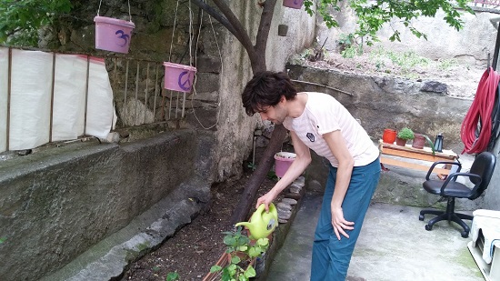 Ankara&rsquo;da vegan queer mekan: Vegisso | Kaos GL - LGBTİ+ Haber Portalı Haber