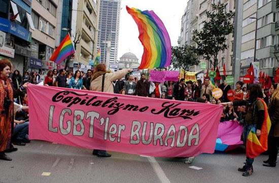 Sosyalist EBT: &lsquo;Yeni Anayasa İçin Talepte Bulunmak Gereksiz&rsquo; Kaos GL - LGBTİ+ Haber Portalı