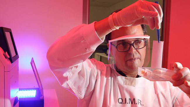 Modifiye Edilen HIV Proteini AIDS&rsquo;ten Koruyabilir | Kaos GL - LGBTİ+ Haber Portalı Haber