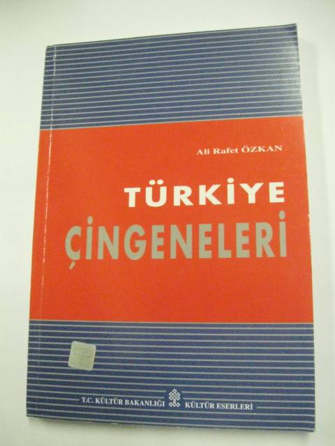 AİHM, 
