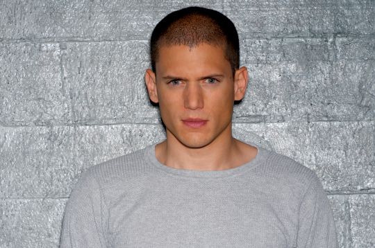 Prison Break Yıldızı Miller: Eşcinselim, Haklarımın Tanınmadığı Bir Ülkeye Gidemem Kaos GL - LGBTİ+ Haber Portalı