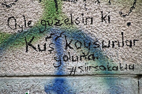 Kuş koysunlar yoluna Kaos GL - LGBTİ+ Haber Portalı