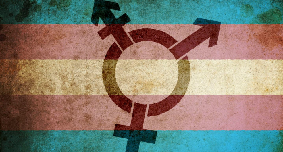 &lsquo;Zorunlu kısırlaştırma insan hakları ihlalidir!&rsquo; Kaos GL - LGBTİ+ Haber Portalı