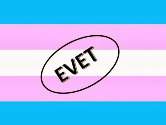 Ankara Barosu&rsquo;ndan Trans Seçmenlere Destek Kaos GL - LGBTİ+ Haber Portalı