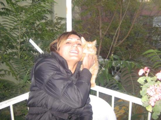 Trans kadınlardan sokak hayvanları için mama kampanyası Kaos GL - LGBTİ+ Haber Portalı