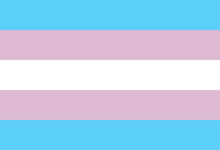 Pembe Hayat taciz politika belgesi yayınladı Kaos GL - LGBTİ+ Haber Portalı