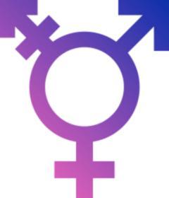 Zulüm Gören Translar da Sığınmacı Olabilecekler Kaos GL - LGBTİ+ Haber Portalı