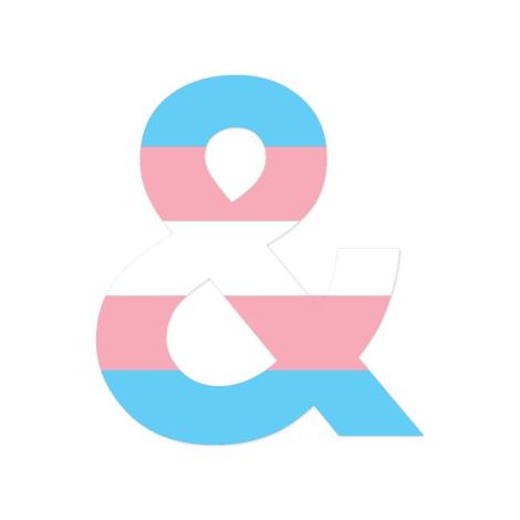 Twitter’da Trump’ın orduda trans yasağına karşı profil resmi kampanyası Kaos GL - LGBTİ+ Haber Portalı
