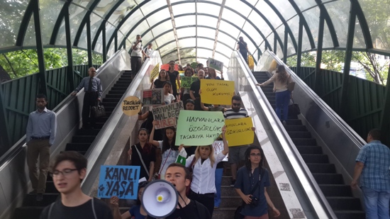 Yasama-Yürütme hayvanları öldürme! | Kaos GL - LGBTİ+ Haber Portalı Haber