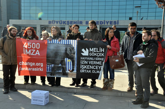 Hayvan Hakları Aktivistleri Ankara Büyükşehir Belediyesi&rsquo;ndeydi Kaos GL - LGBTİ+ Haber Portalı