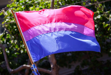 Fransa&rsquo;da ilk biseksüellik günü kutlandı…  Kaos GL - LGBTİ+ Haber Portalı