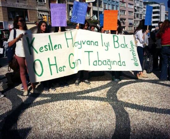 Veganlardan &lsquo;Kurban Bayramı&rsquo; Çağrısı Kaos GL - LGBTİ+ Haber Portalı