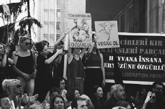 &lsquo;Kafesleri parçala: Vegan ol!&rsquo; | Kaos GL - LGBTİ+ Haber Portalı Haber