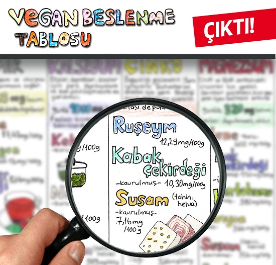 Vegan beslenme tablosu çıktı | Kaos GL - LGBTİ+ Haber Portalı Haber