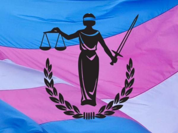 Pembe Hayat’ın dilekçe örnekleri paylaştığı “Hukuk” sayfası yayında Kaos GL - LGBTİ+ Haber Portalı