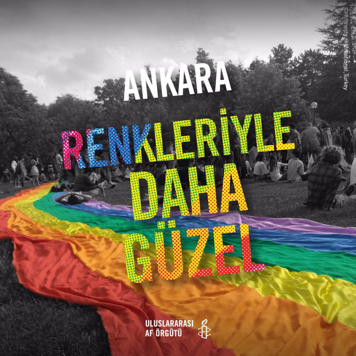 Af Örgütü: “Ankara renkleriyle daha güzel” Kaos GL - LGBTİ+ Haber Portalı