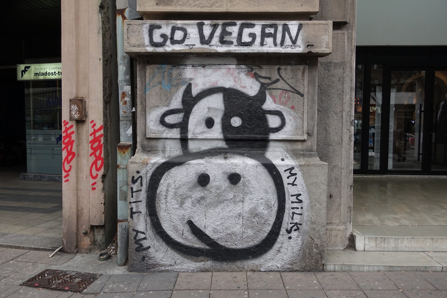 Veganlık, İnsan Harici Hayvanların Hakkını Savunmaktır Kaos GL - LGBTİ+ Haber Portalı