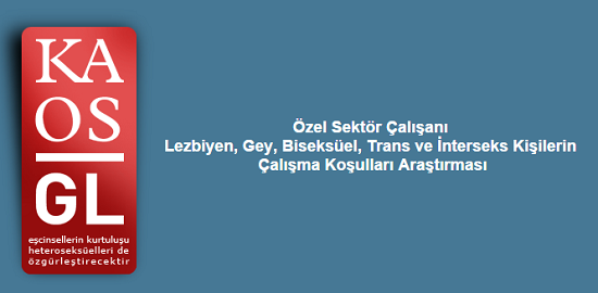 Özel sektör çalışanı LGBTİ&rsquo;ler anketi başladı! Kaos GL - LGBTİ+ Haber Portalı