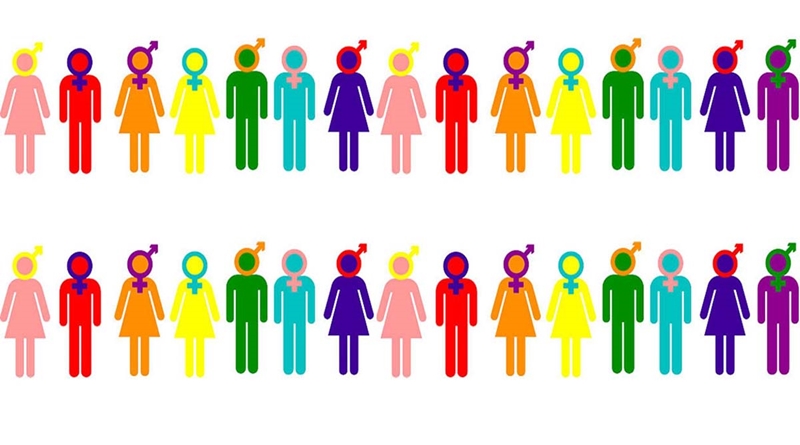 ODTÜ öğrencileri: &lsquo;She/he ikili cinsiyet sistemini sürdürüyor&rsquo; Kaos GL - LGBTİ+ Haber Portalı