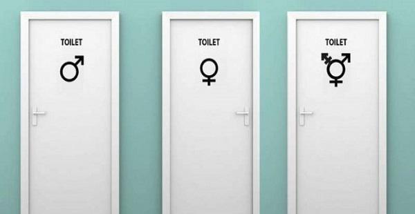 Bilgi Gökkuşağı: Cinsiyetsiz tuvalet istiyoruz! Kaos GL - LGBTİ+ Haber Portalı