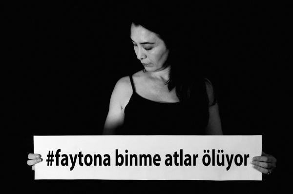 #FaytonaBinme atlar ölüyor! Kaos GL - LGBTİ+ Haber Portalı