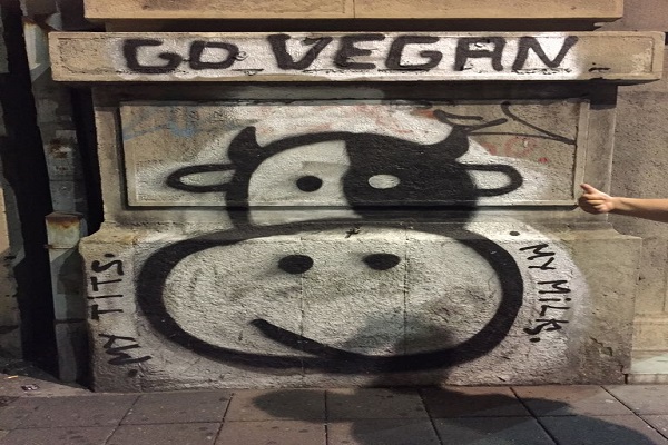 Veganlık nelerle kesişir! Kaos GL - LGBTİ+ Haber Portalı