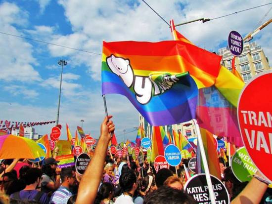 Ayı Sözlük 2 Yaşına Giriyor! Kaos GL - LGBTİ+ Haber Portalı