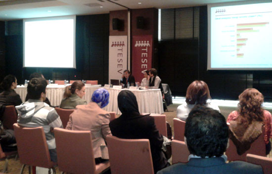 TESEV Anayasaya Dair Tanım ve Beklentiler Araştırması-2012 Kaos GL - LGBTİ+ Haber Portalı
