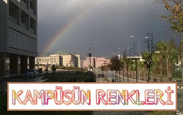 Antakya&rsquo;da yeni bir ses: Kampüsün Renkleri LGBTİ Topluluğu Kaos GL - LGBTİ+ Haber Portalı