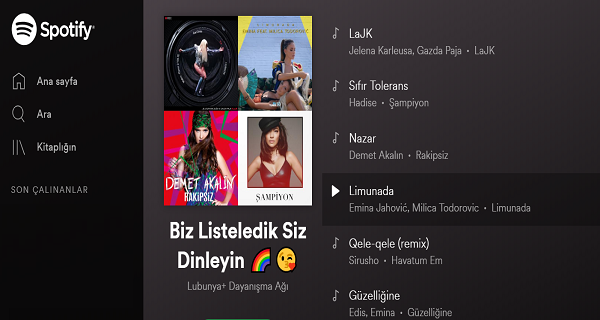 Lubunya Dayanışma Ağı’ndan Spotify listesi Kaos GL - LGBTİ+ Haber Portalı