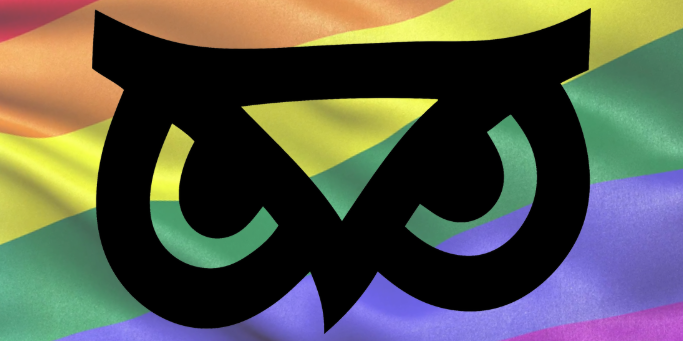 Gökkuşağının tüm renklerine: MSGSU LGBTİ+ kuruldu! | Kaos GL - LGBTİ+ Haber Portalı Haber