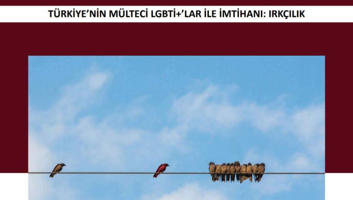 Hevi, mülteci LGBTİ+’ların karşılaştığı ayrımcılığı raporladı | Kaos GL - LGBTİ+ Haber Portalı Haber