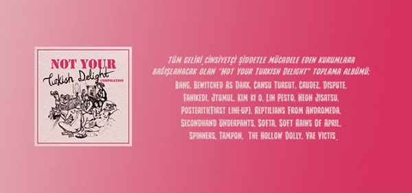 “Not Your Turkish Delight” çıkıyor! Kaos GL - LGBTİ+ Haber Portalı