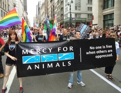 Hem geyim hem vegan, var mı bana yan bakan? Kaos GL - LGBTİ+ Haber Portalı