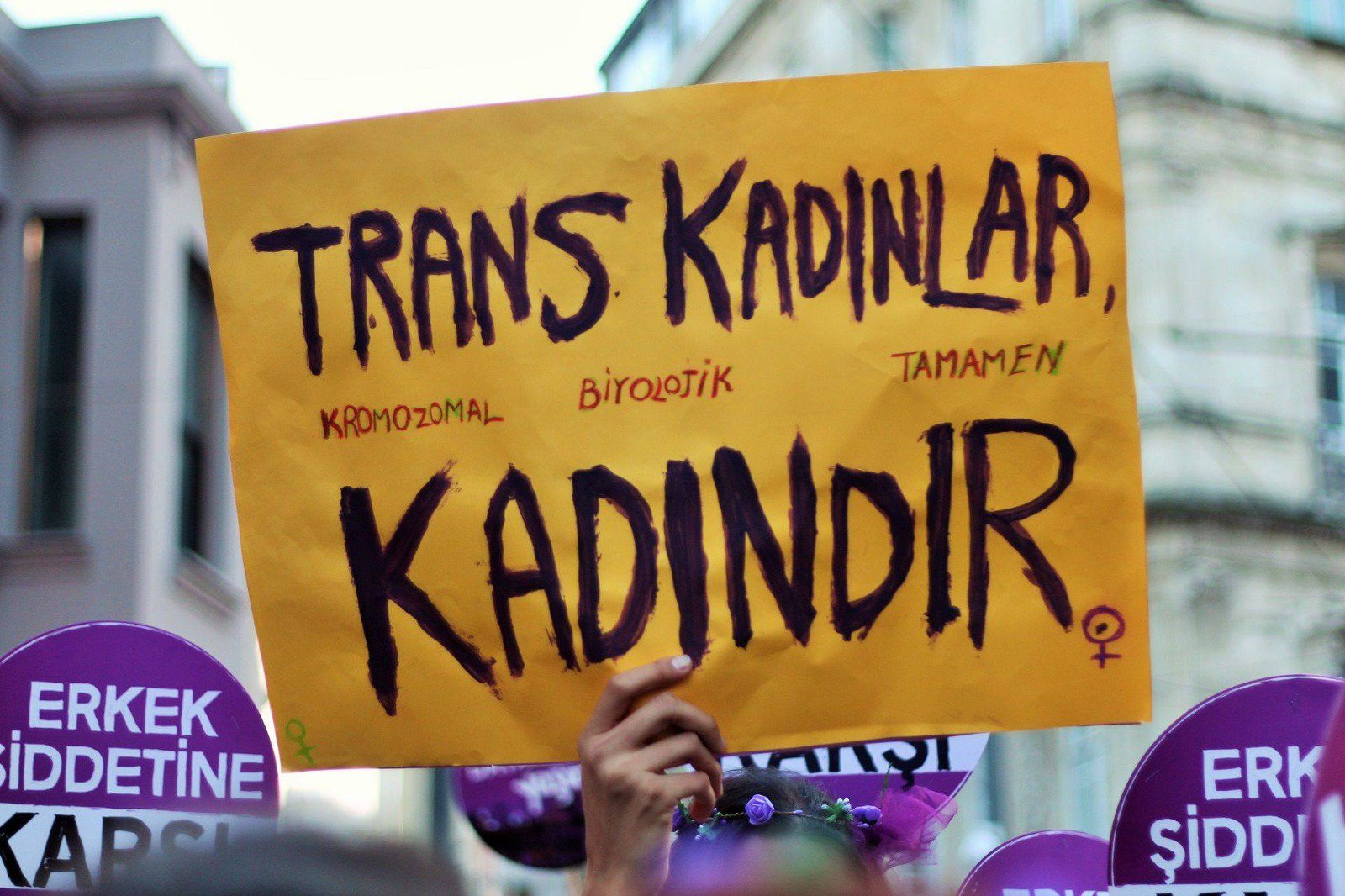 “Toplumsal cinsiyet gibi biyolojik cinsiyet de toplumsal bir kurgudur” Kaos GL - LGBTİ+ Haber Portalı