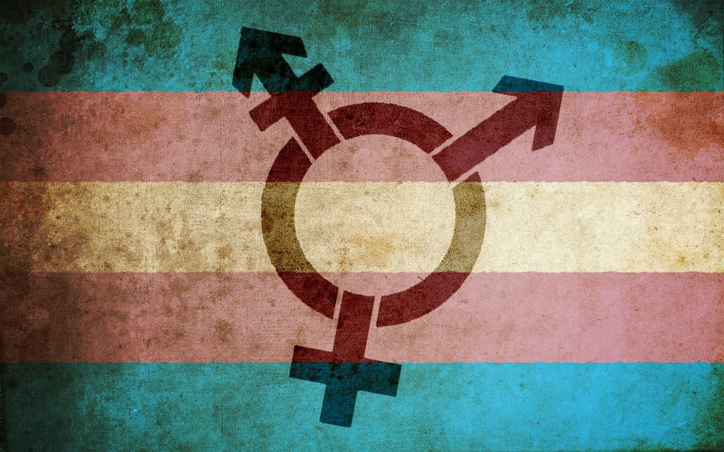 Trans Görünürlüğü Günü: B U R A D A Y I M Kaos GL - LGBTİ+ Haber Portalı